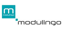 Partner Logo modulingo