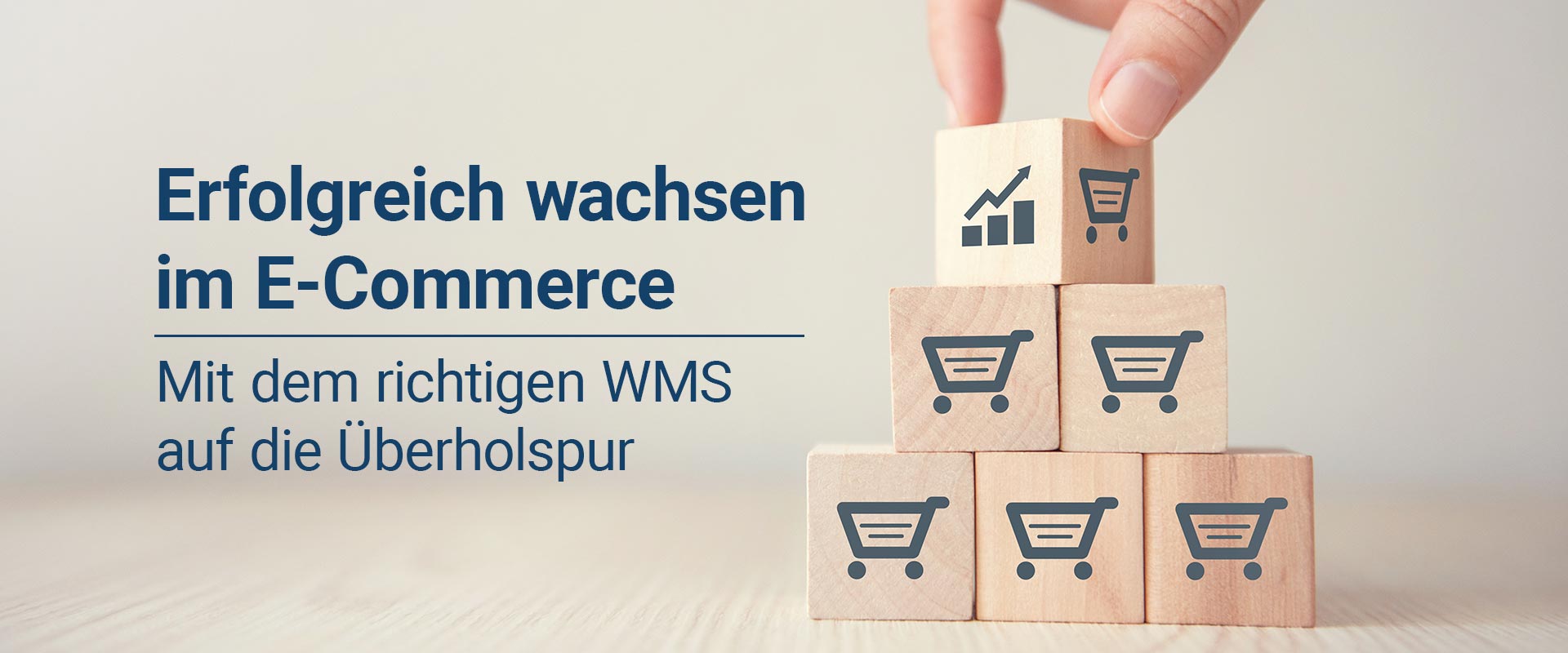 Erfolgreich wachsen im E-Commerce